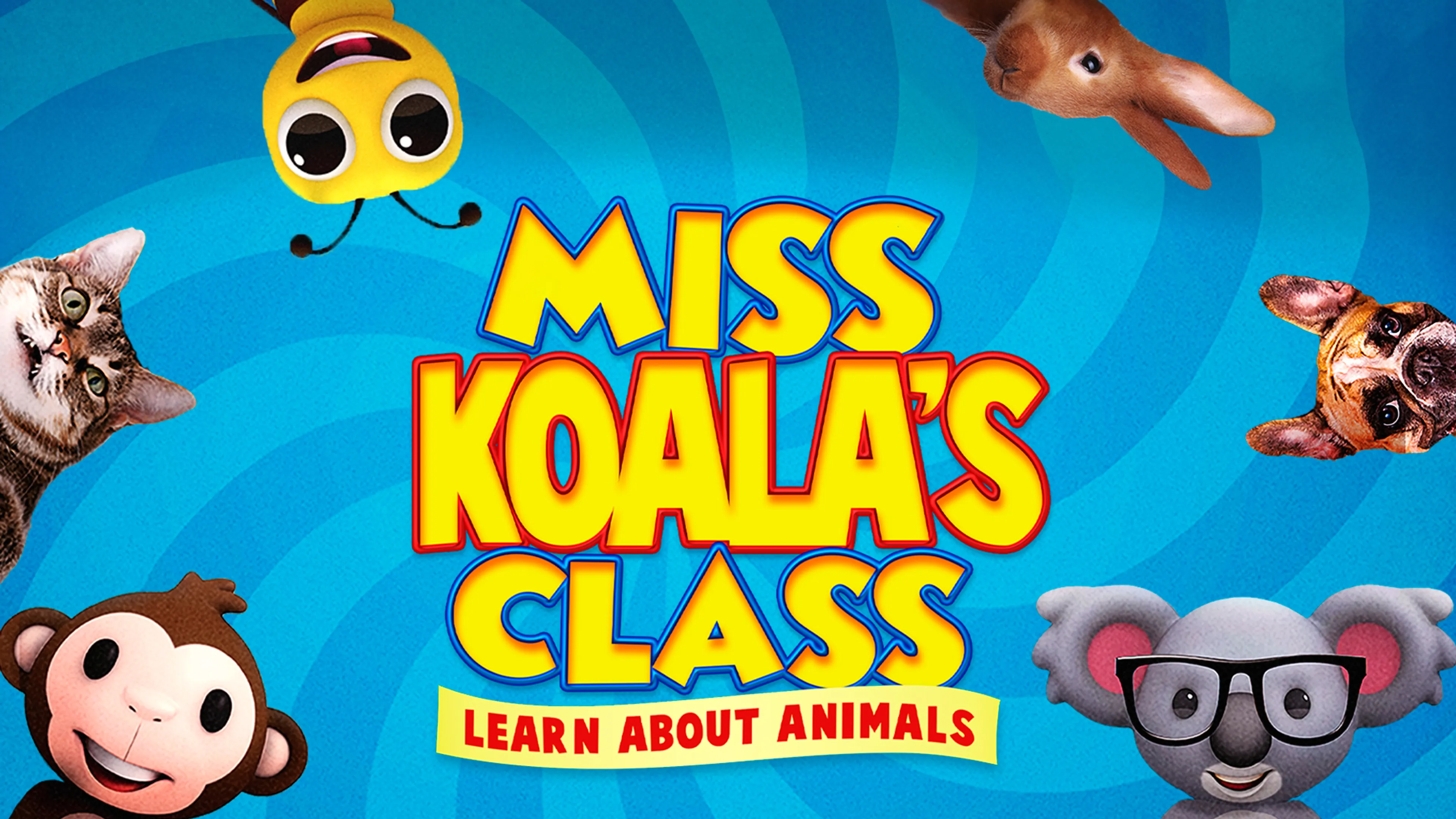 Miss Koala's Class : Learn About Animals poster